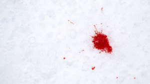 Blood on the Snow - JRA Part 2