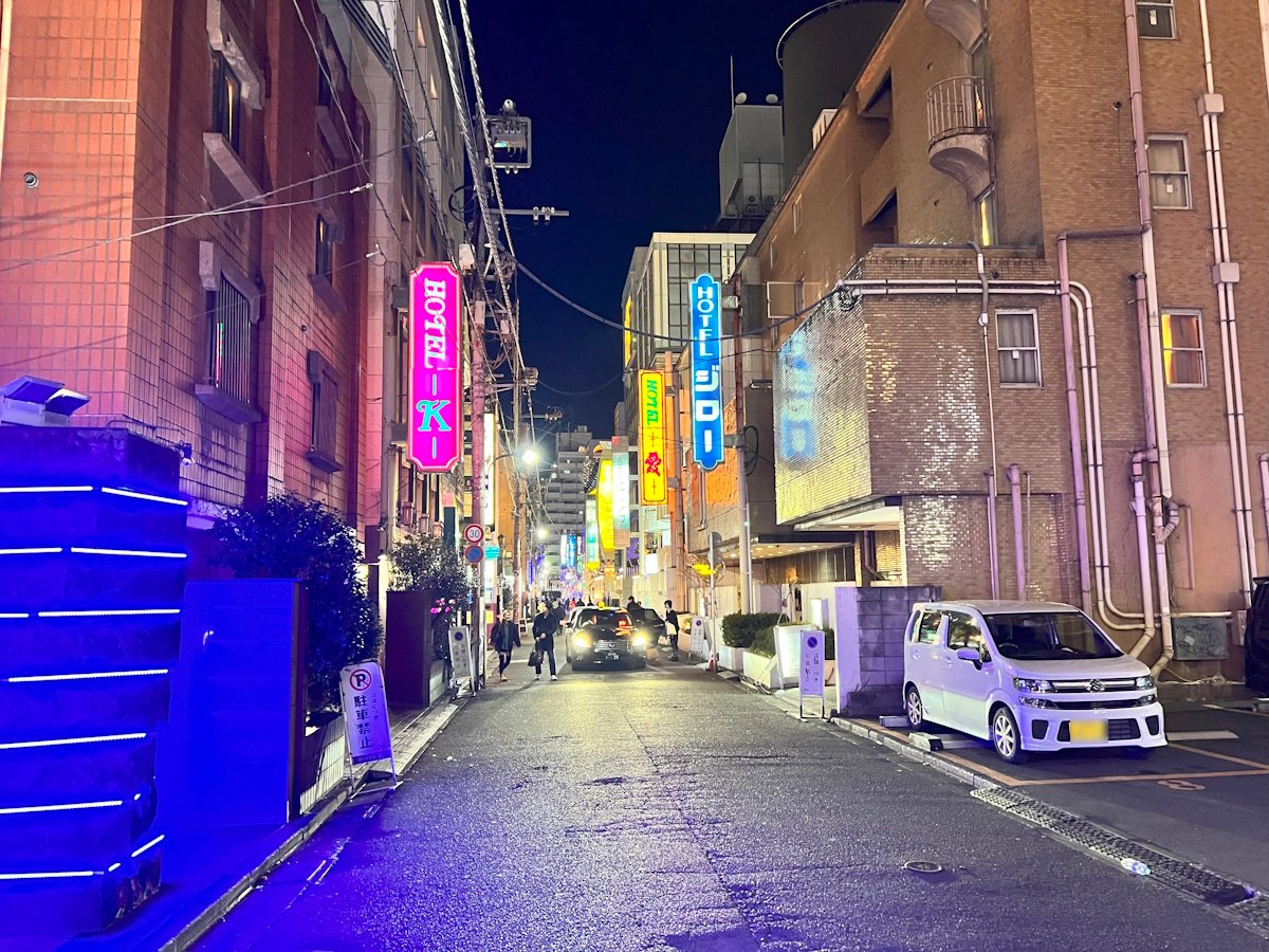 Love hotels in Shinjuku (not very good ones)