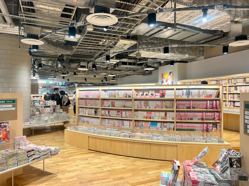 Bookshelves in Bunkitsu