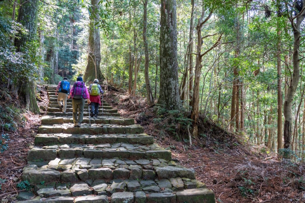 Trail on the Kumano Kodo