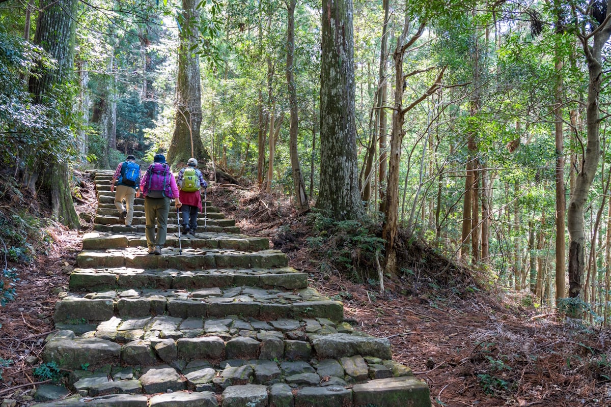 Trail on the Kumano Kodo